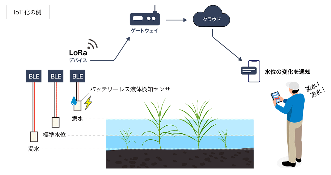 水田の水位監視でスマート農業が実現